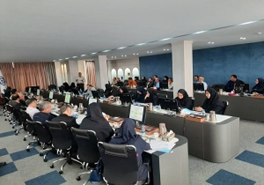 کارگروه های منطقه ای فرصتی برای تدوین برنامه جامع سازمان است کارگروه های منطقه ای فرصتی برای تدوین برنامه جامع سازمان است